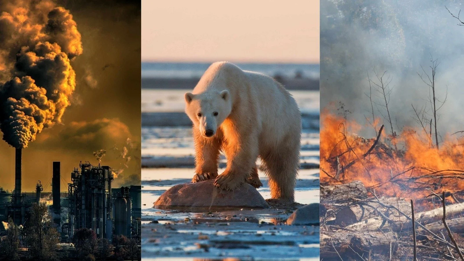 Mudanças Climáticas