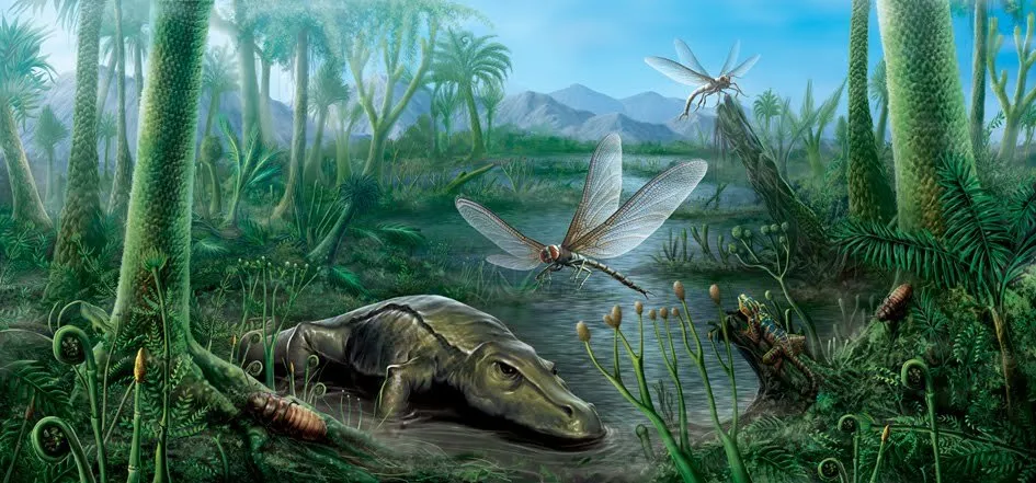 animais do período carbonífero