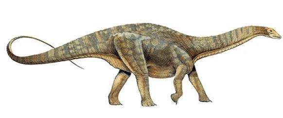 sauropodomorfos